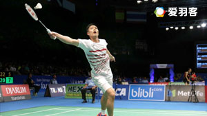 如荼地进行 如荼地进行