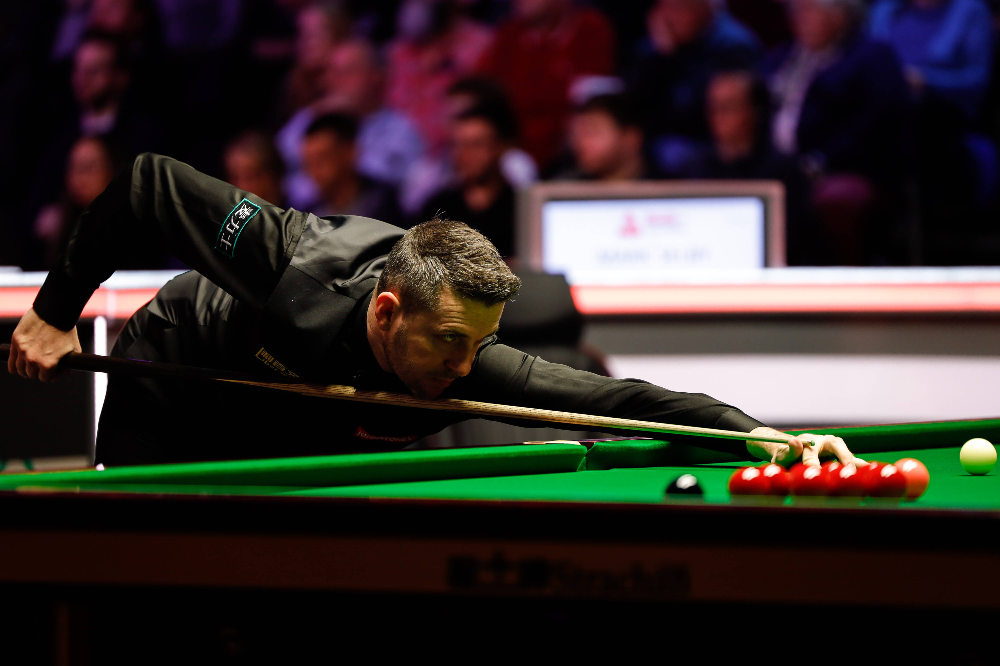 关注和赞扬 关注和赞扬