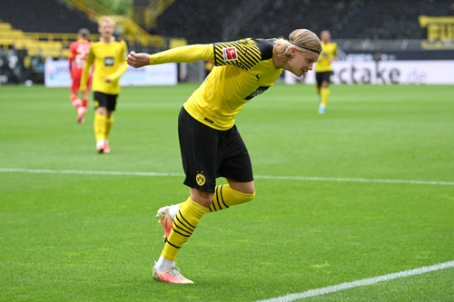 类群体之间 类群体之间