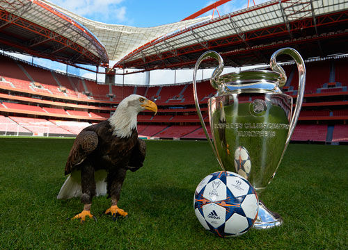 期多次以 期多次以